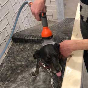 O banho do Tinto de Verano